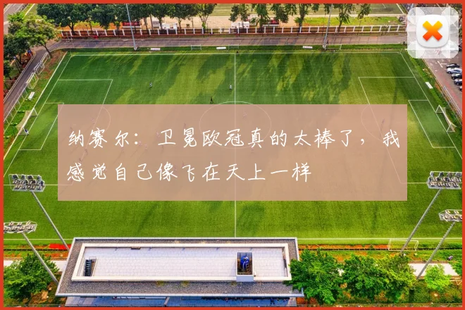 纳赛尔：卫冕欧冠真的太棒了，我感觉自己像飞在天上一样